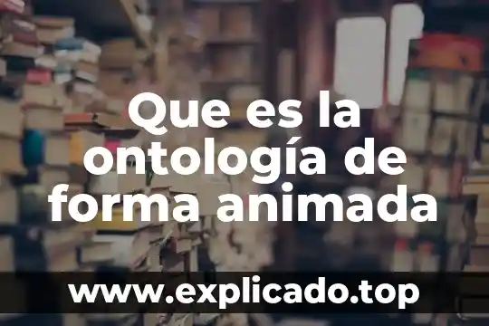 Que es la constitución mexicana animada 7 Que es la ontología de forma animada