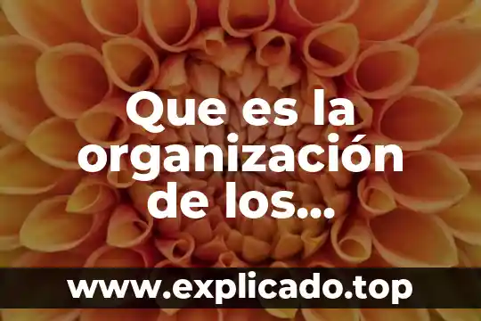 Que es derecho y sus elementos 7 Que es la organización de los elementos de un escritorio