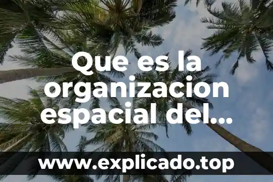 Por qué es importante la Campana de Morelos 5 Que es la organizacion espacial del estado de morelos