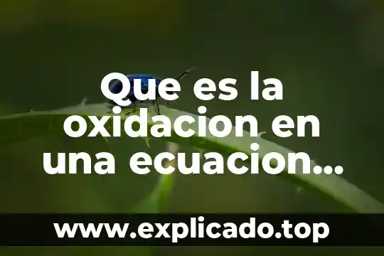 Que es la oxidacion en una ecuacion quimica