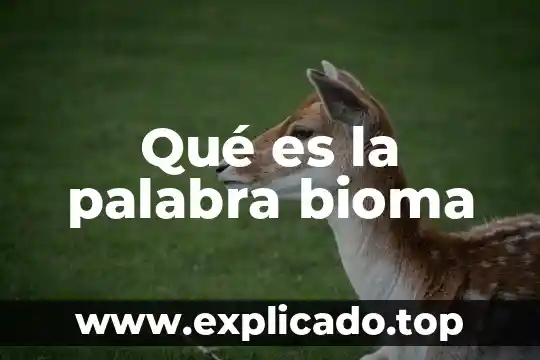 Qué es la palabra nanotubos 8 Qué es la palabra bioma