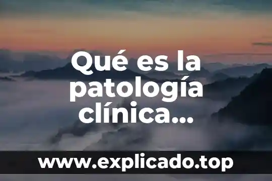 Que es un analizador de quimica clinica 5 Qué es la patología clínica concepto