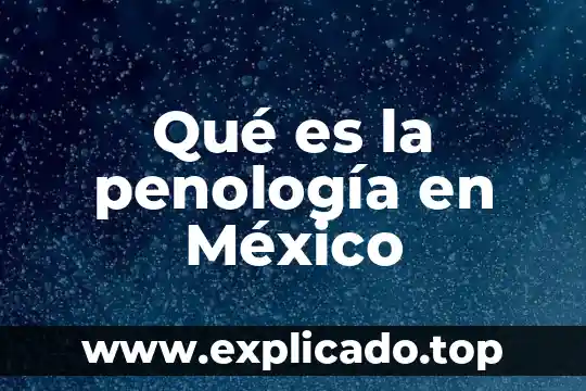 Que es un magistrado instructor en mexico 6 Qué es la penología en México