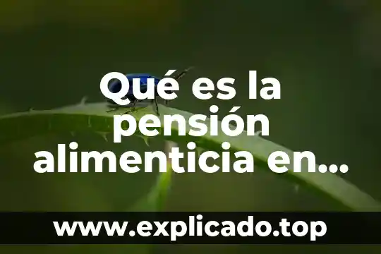 Que es una guajolota comida 5 Qué es la pensión alimenticia en México