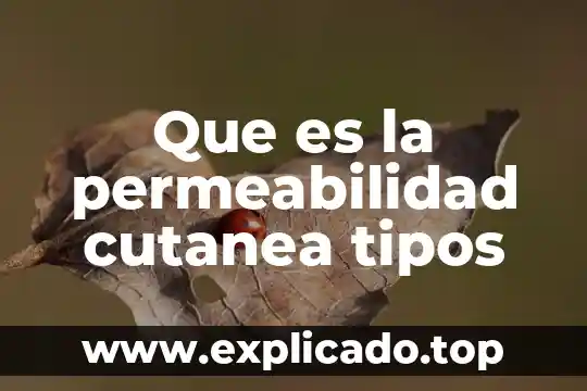 Que es la reproduccion asistida y sus tipos 7 Que es la permeabilidad cutanea tipos