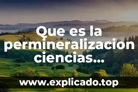 Que es materia en ciencias naturales para niños 3 Que es la permineralizacion ciencias naturales