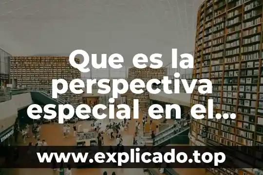 Que es la perspectiva especial en el aprendizaje