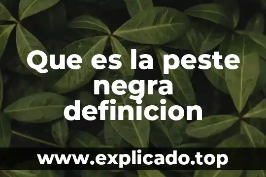 Qué es un sistema de caja negra 7 Que es la peste negra definicion