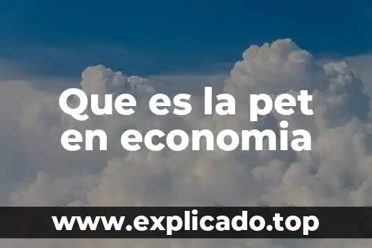 Que es falacia en economía 3 Que es la pet en economia
