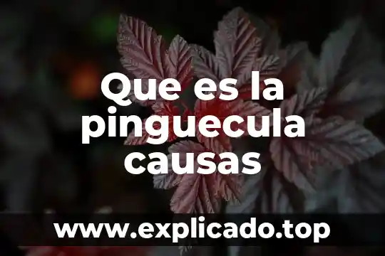 Que es la pinguecula causas
