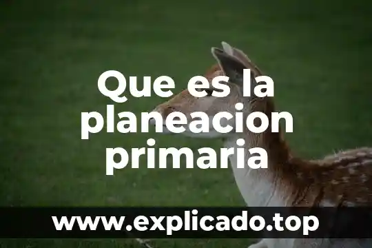 Qué es significa primaria 5 Que es la planeacion primaria