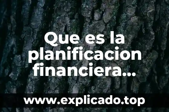 Que es gestion de cobranza segun autores 5 Que es la planificacion financiera segun autores