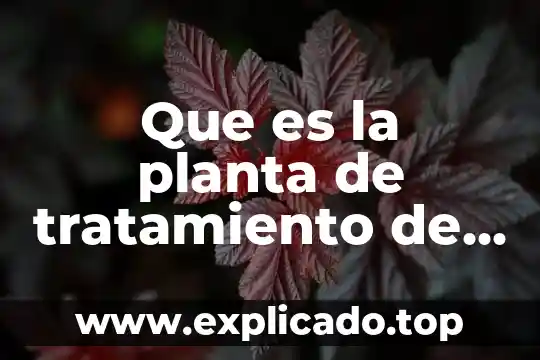 Que es la floculacion de aguas residuales 7 Que es la planta de tratamiento de aguas residuales rotoplas