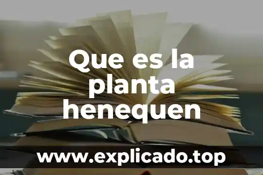 Qué es el tabaco es una planta originaria de américa 6 Que es la planta henequen