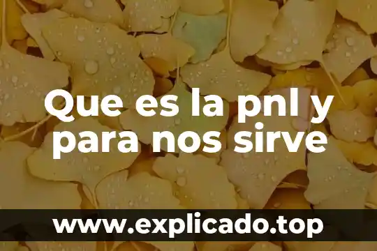 Que es un plano y que nos muestra 4 Que es la pnl y para nos sirve