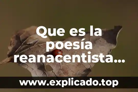 Que es una poesia español latino ejemplos para niños 4 Que es la poesía reanacentista sus caracteristicas