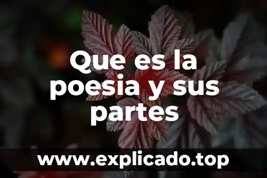 Momentos de asocian en un grupo que es 6 Que es la poesia y sus partes