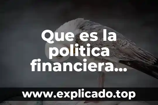 Qué es visión económica y visión financiera 4 Que es la politica financiera segun autores