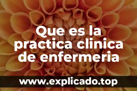 Hoja de historia clínica que es 3 Que es la practica clinica de enfermeria