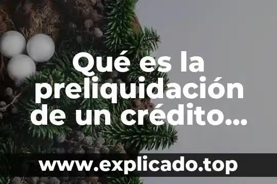 Qué es crédito avios 8 Qué es la preliquidación de un crédito fiscal