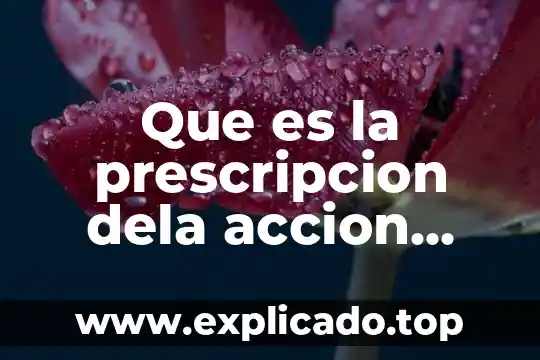 Qué es prescripción contabilidad 5 Que es la prescripcion dela accion cambiaria