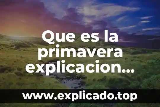 Que es una dieta explicacion para niños 8 Que es la primavera explicacion para niños de kinder