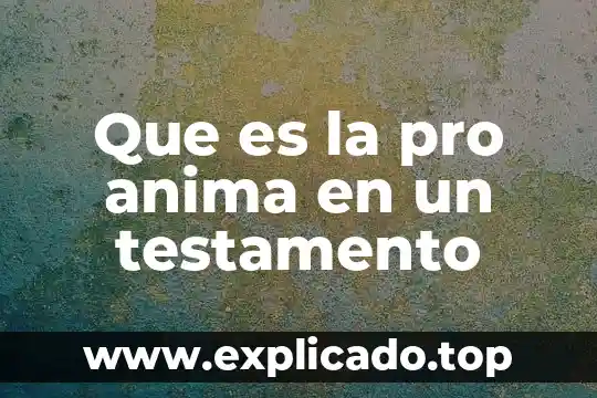 Que es un anima reptil 3 Que es la pro anima en un testamento