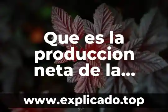 Que es indicadores de crecimiento y producción 7 Que es la produccion neta de la comunidad