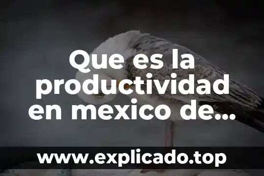 Que es codependencia en la violencia de genero 4 Que es la productividad en mexico de la industria
