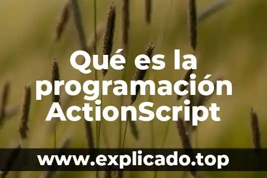 Programacion movil que es 7 Qué es la programación ActionScript