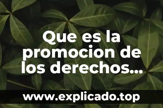 Que es el sistema universal de os derechos humanos 7 Que es la promocion de los derechos humanos