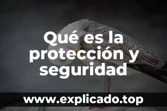 Qué es el derecho a la protección especial 3 Qué es la protección y seguridad