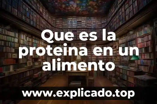 Que es una rebaja en un alimento 4 Que es la proteina en un alimento