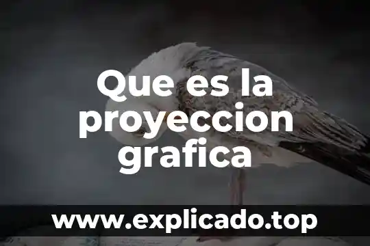 Que es la grafica de brand equity 3 Que es la proyeccion grafica