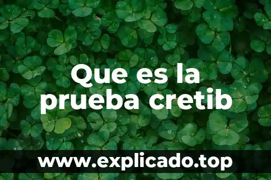 Que es una prueba de flamabilidad 6 Que es la prueba cretib
