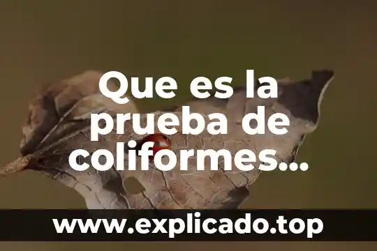 Que es una prueba vp 7 Que es la prueba de coliformes fecales
