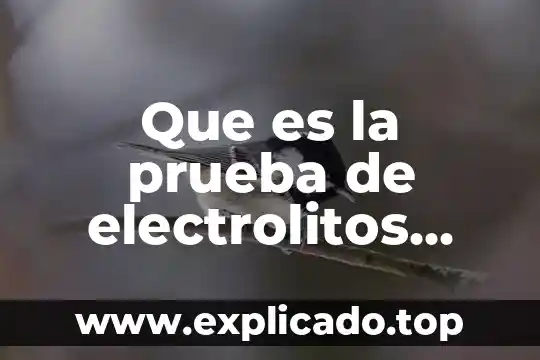 Para que es la prueba bampe 6 Que es la prueba de electrolitos sericos