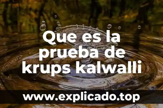 Que es una prueba vp 4 Que es la prueba de krups kalwalli