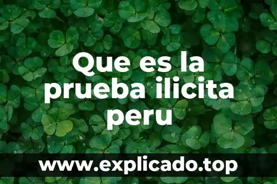 Que es una prueba de flamabilidad 7 Que es la prueba ilicita peru