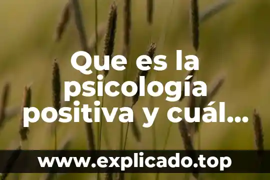 Que es la funcion afectividad en la psicologia 4 Que es la psicología positiva y cuál es su propósito