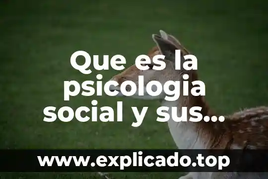 Qué es el potencial humano en psicología humanista 3 Que es la psicologia social y sus aplicaciones