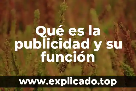 Qué es la publicidad y su función