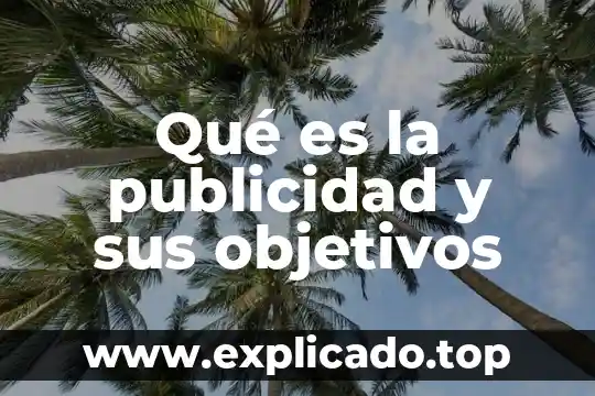 Que es una publicidad tipos y caracteristicas 4 Qué es la publicidad y sus objetivos