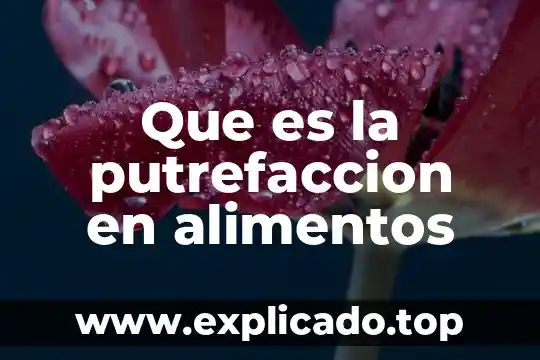 Quimica en los alimentos que es appcc 4 Que es la putrefaccion en alimentos