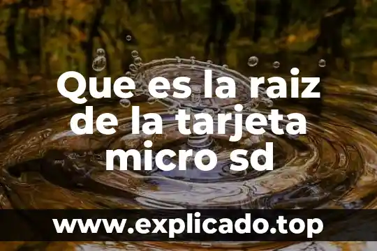 Raíz ambiental que es 6 Que es la raiz de la tarjeta micro sd