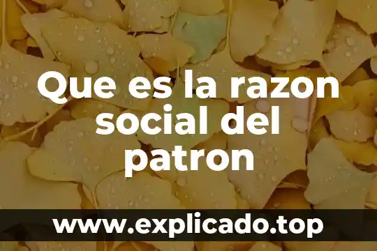 Muestra la razón social de la empresa que es 6 Que es la razon social del patron