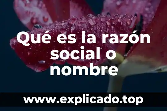 Qué es una razón y cómo se llaman sus componentes 7 Qué es la razón social o nombre