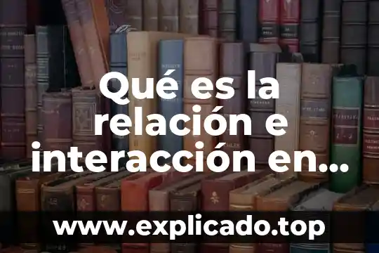Qué es la relación e interacción en geografía