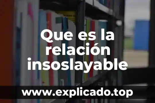 Que es relacion temporal 3 Que es la relación insoslayable