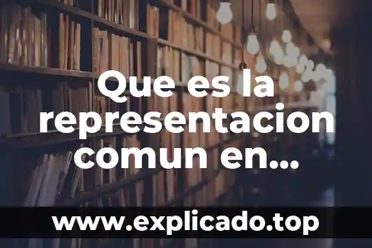 Por que es recurso o juicio de amparo 6 Que es la representacion comun en amparo